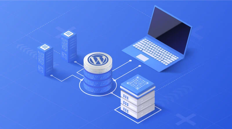WordPress Hosting vs Custom Development: Cost Comparison